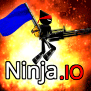 Ninja io